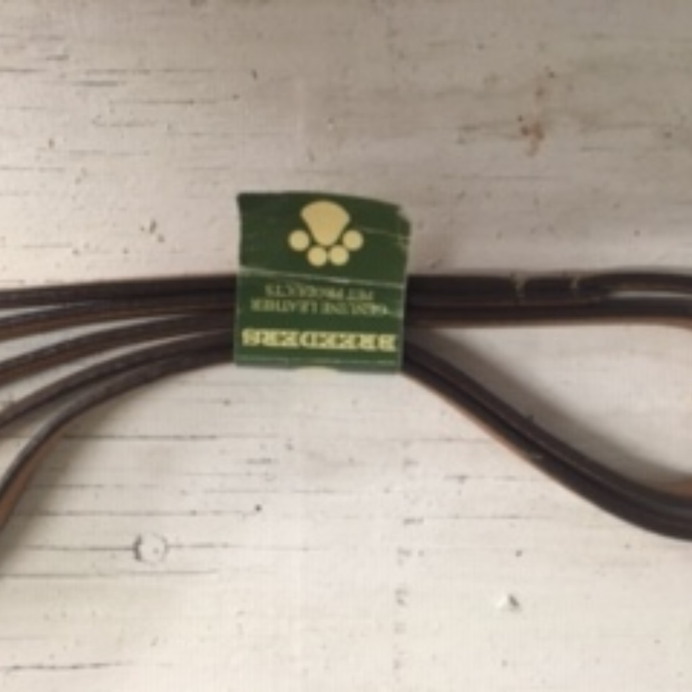 dog leash
